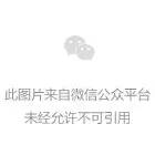 桃花分割线